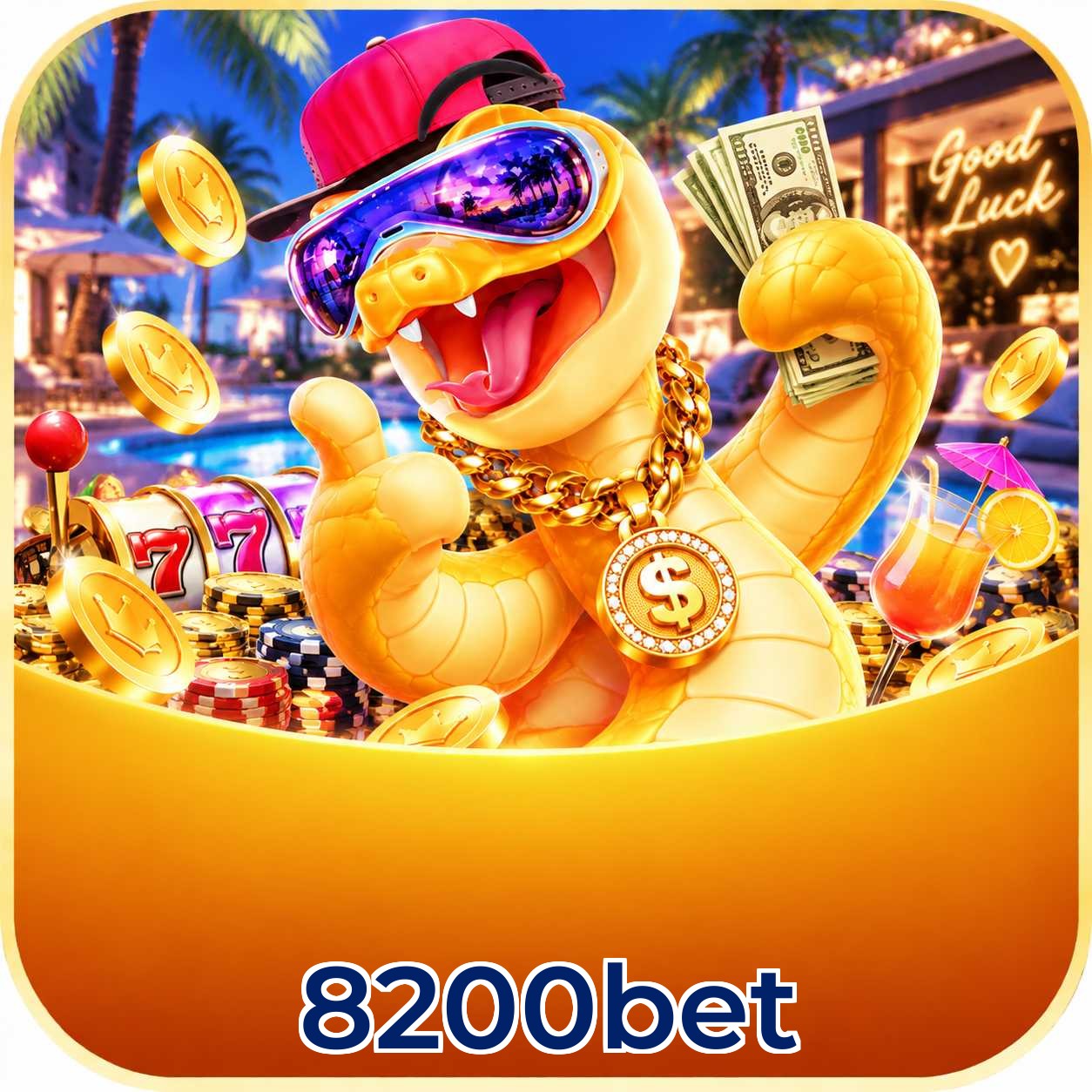8200bet App vs Web